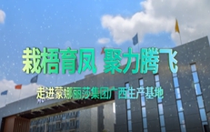 好瓷砖这样造!新华网镜头探秘蒙娜丽莎广西基地